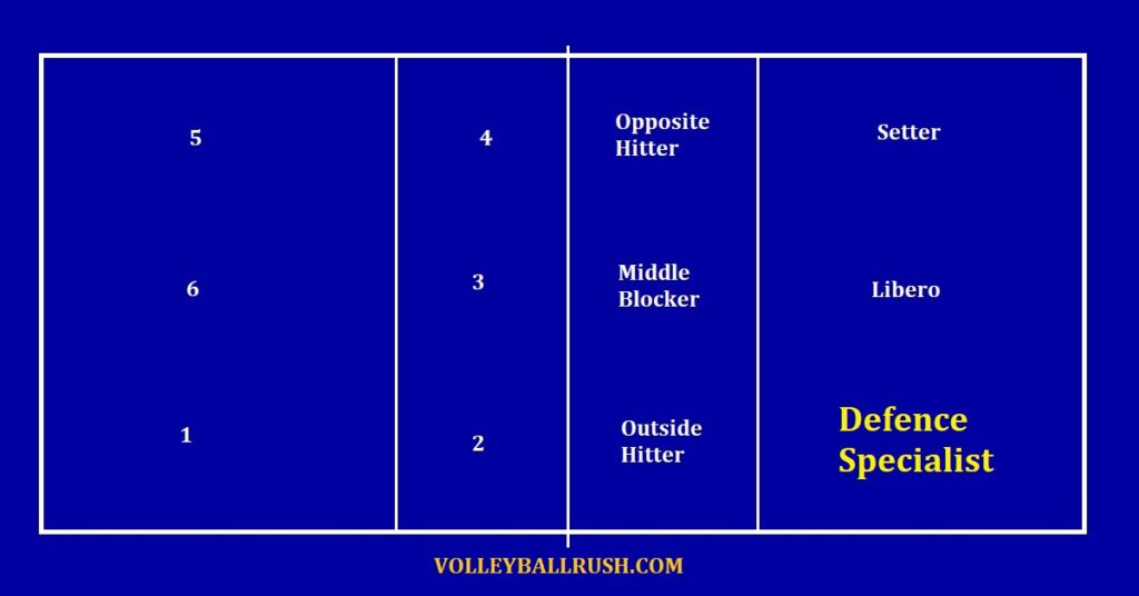 Volleyball Positions 101 Player Roles Volleyball Rush